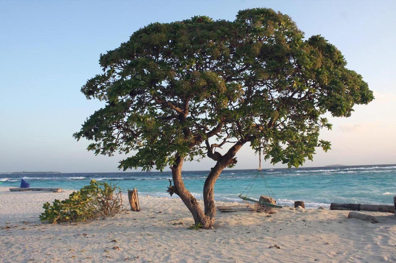 Dharavandhoo Stay Kültér fotó