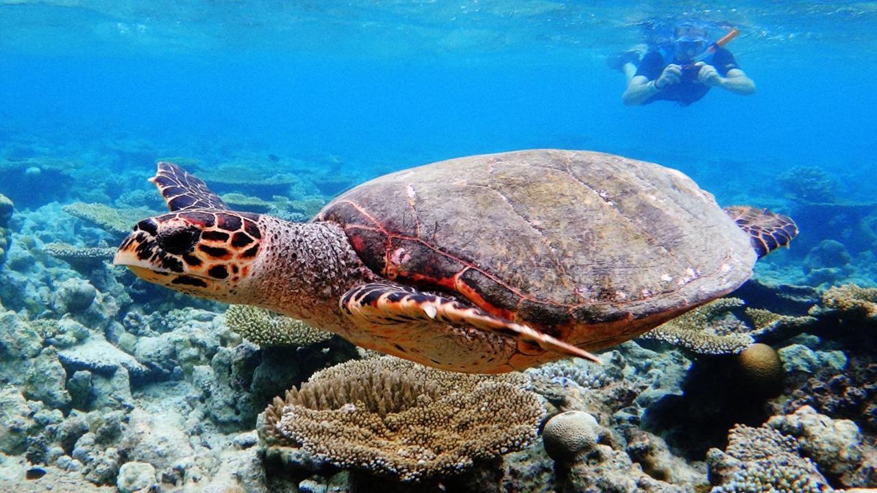 Dharavandhoo Stay Kültér fotó
