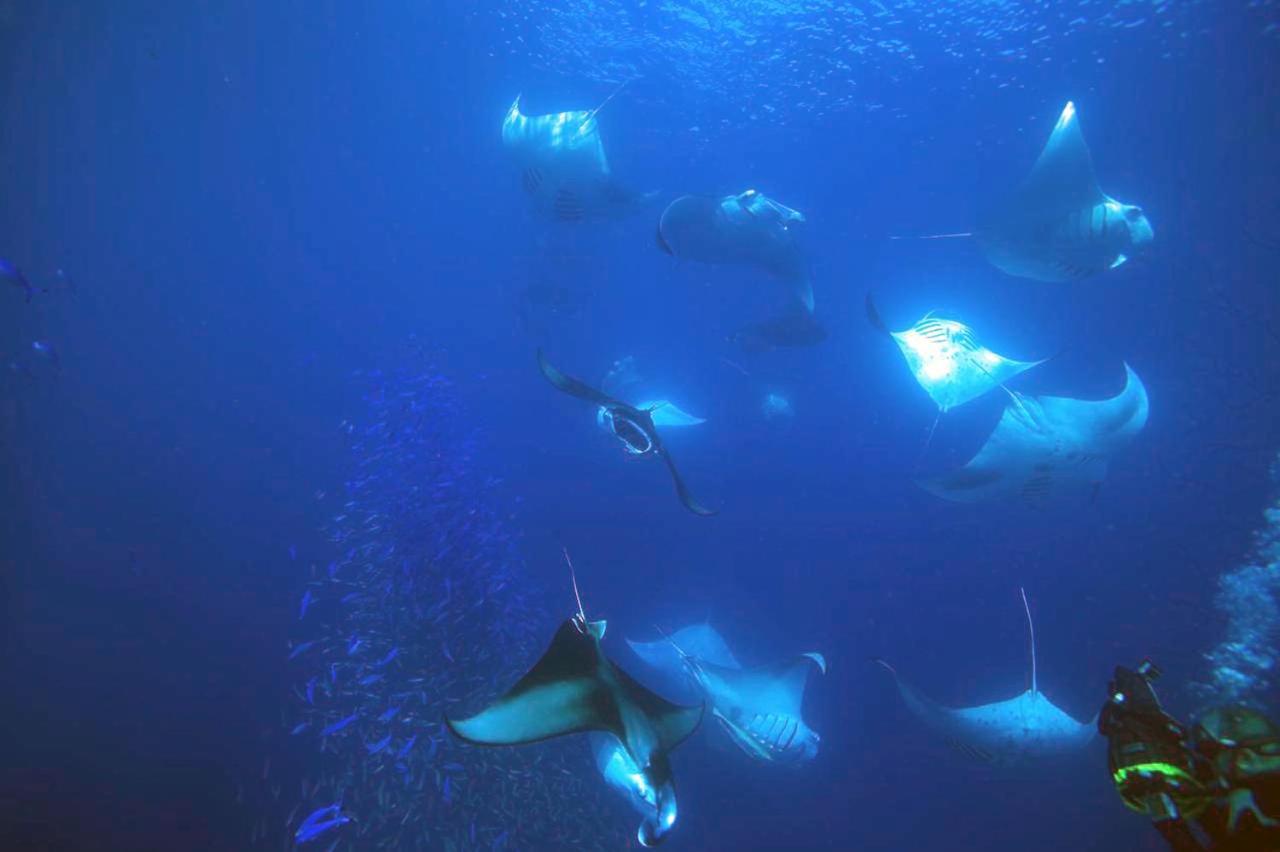 Dharavandhoo Stay Kültér fotó