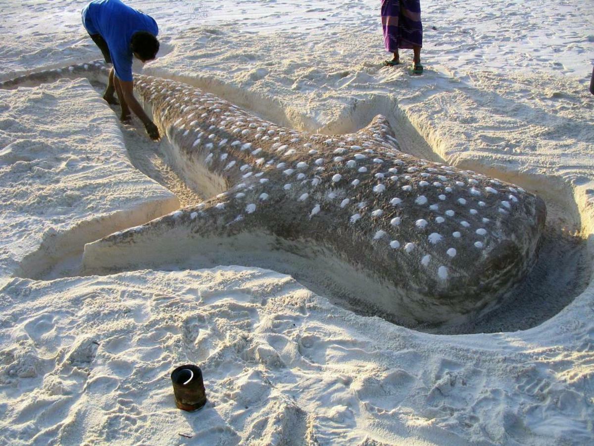 Dharavandhoo Stay Kültér fotó